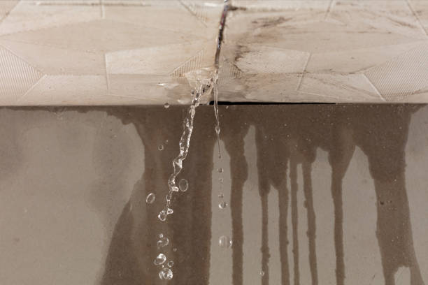 Professional Burst Pipe Cleanup technician working in East Machias, ME